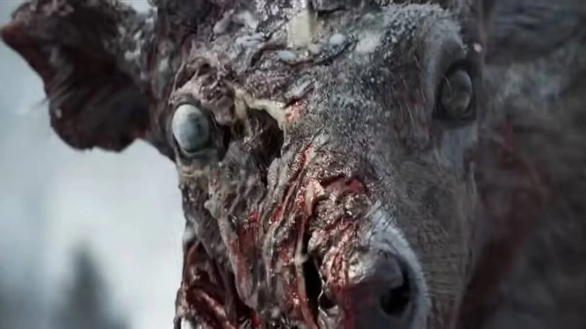 Crime Scene,开发流程详,解攻略,2026FIFA世界杯赛程表,2026FIFA世界盃完整攻略,世界杯门票