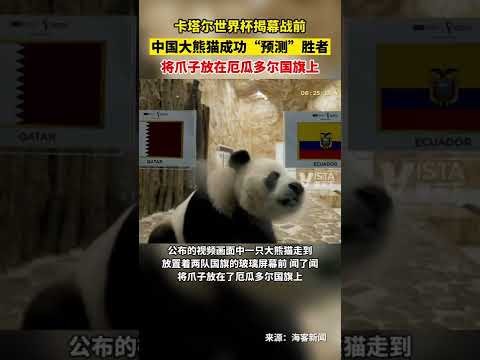 世界盃在哪,资讯,2026世界盃在哪辦？,2026FIFA世界杯赛程表,2026FIFA世界盃完整攻略,世界杯门票